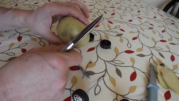 Hayrete düşüren deney 35