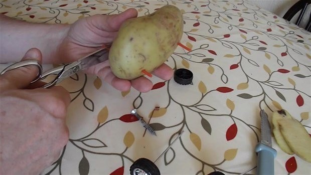 Hayrete düşüren deney 36