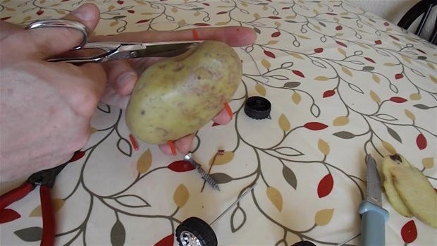 Hayrete düşüren deney 37