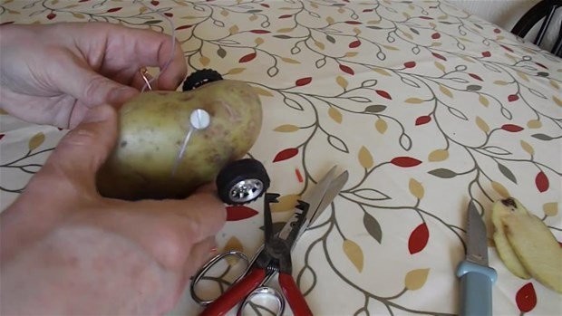 Hayrete düşüren deney 41