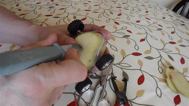 Hayrete düşüren deney 43