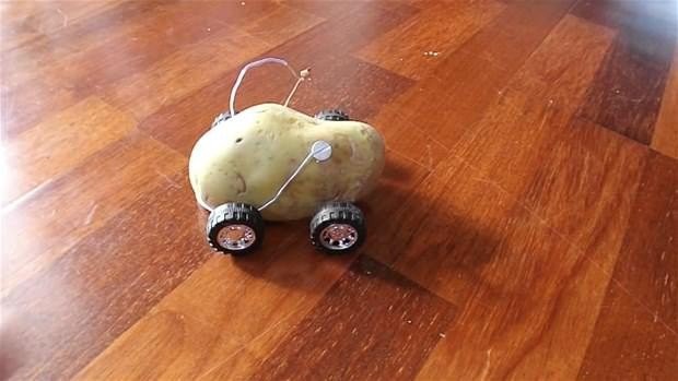 Hayrete düşüren deney 46