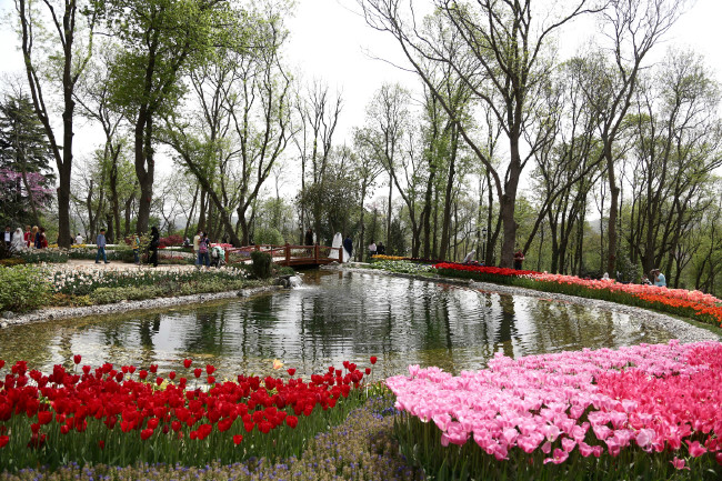 İstanbul'da Lale Festivali 3