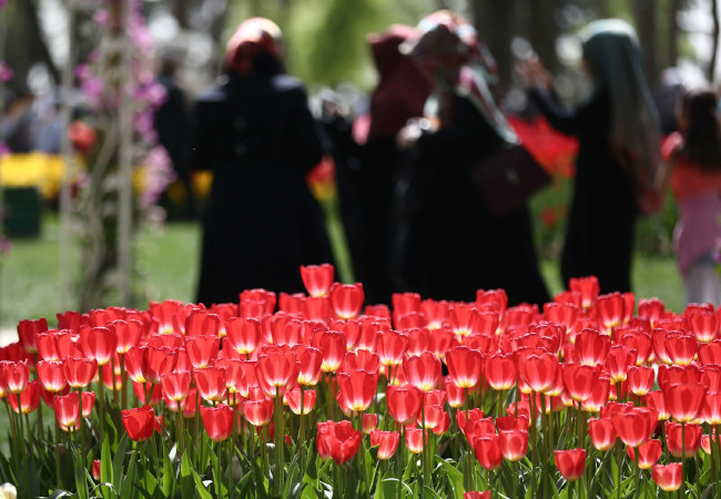 İstanbul'da Lale Festivali 6
