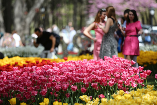 İstanbul'da Lale Festivali 7
