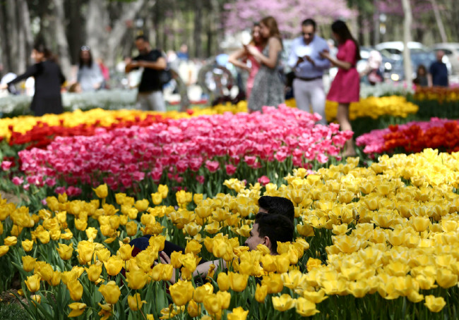 İstanbul'da Lale Festivali 8