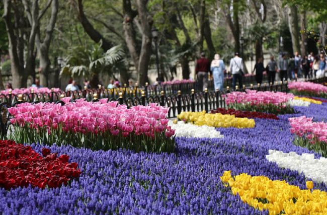 İstanbul'da Lale Festivali 10
