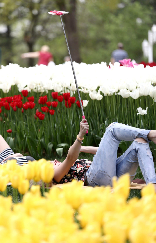 İstanbul'da Lale Festivali 11