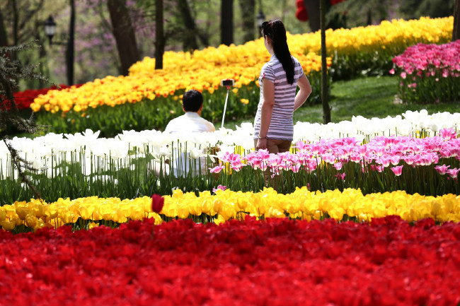 İstanbul'da Lale Festivali 16