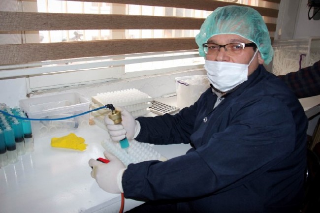 Türk buluşu: Tek kullanımlık diş macunlu fırça 8