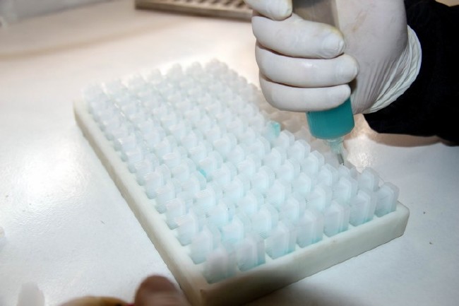 Türk buluşu: Tek kullanımlık diş macunlu fırça 9