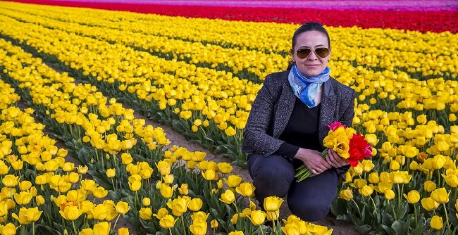 Konya'nın lale tarlaları hayrete düşürdü 20