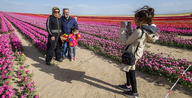 Konya'nın lale tarlaları hayrete düşürdü 23