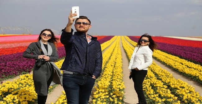 Konya'nın lale tarlaları hayrete düşürdü 4