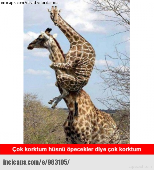 Efsane Arka Sokaklar Capsleri 2