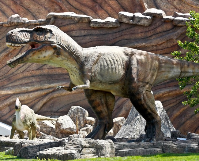 Türk Yıldızları'ndan Expo uçuşu 18