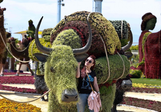 Türk Yıldızları'ndan Expo uçuşu 17