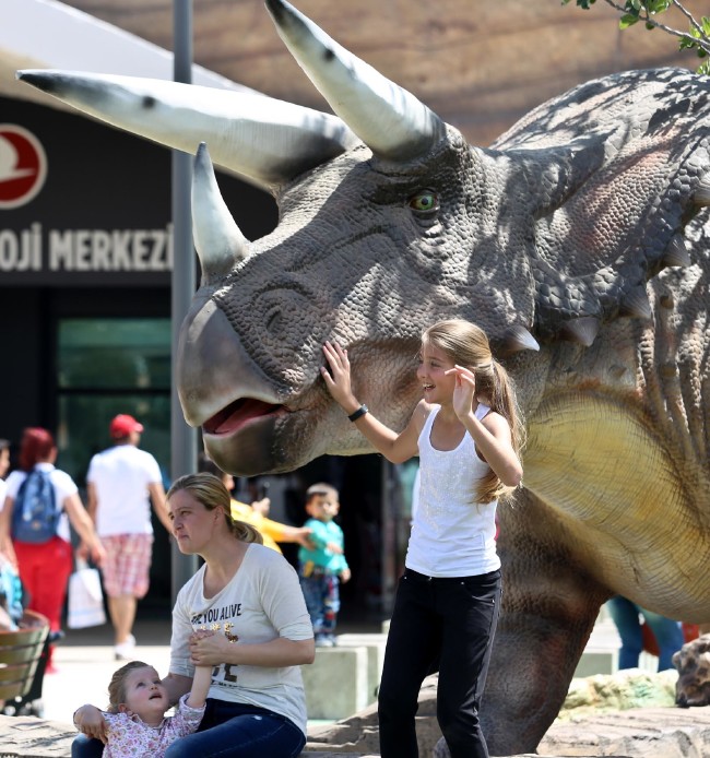 Türk Yıldızları'ndan Expo uçuşu 15