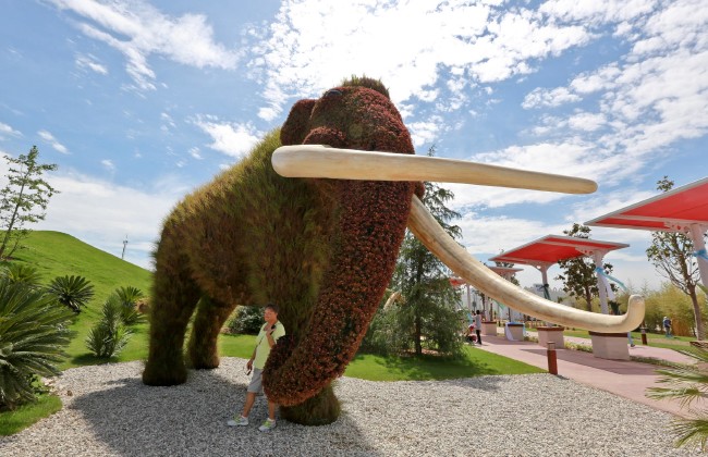 Türk Yıldızları'ndan Expo uçuşu 16