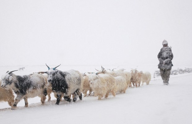 Medeniyetten 'Himalayalar' kadar uzak yaşam! 7