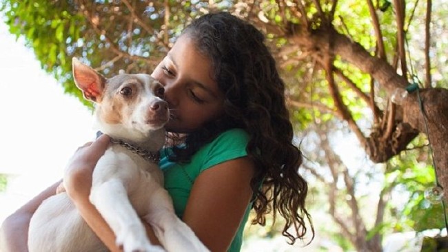 Sakın sarılmayın! 1