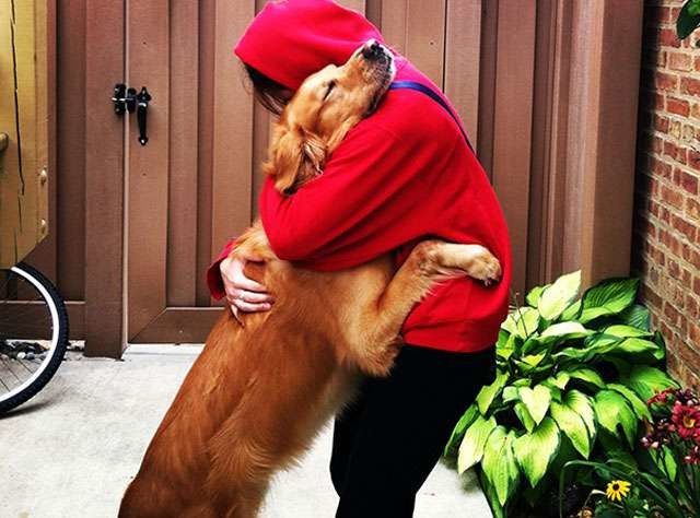 Sakın sarılmayın! 4