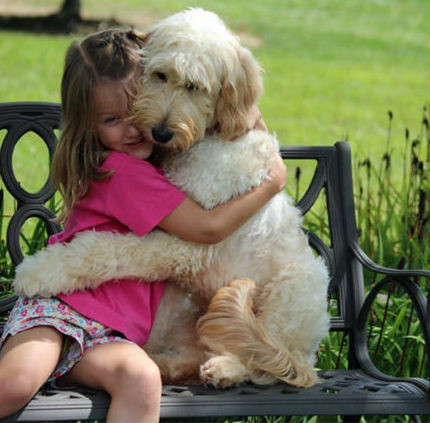 Sakın sarılmayın! 5