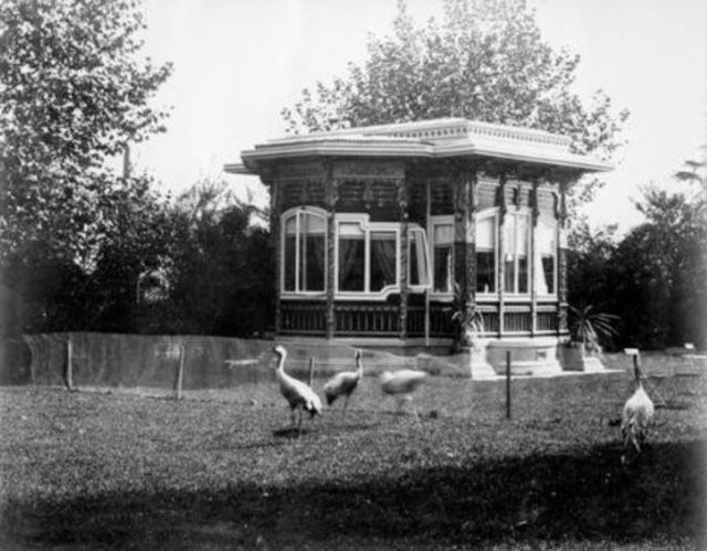 Padişah arşivinden çıkan çarpıcı kareler... 50