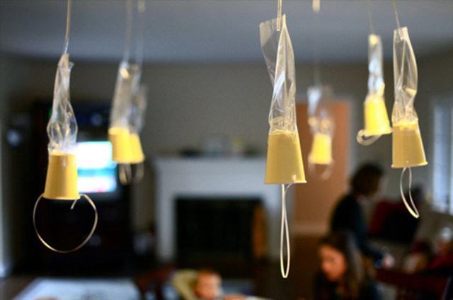 Uçak kazasından sağ kurtulmanın yolları 16