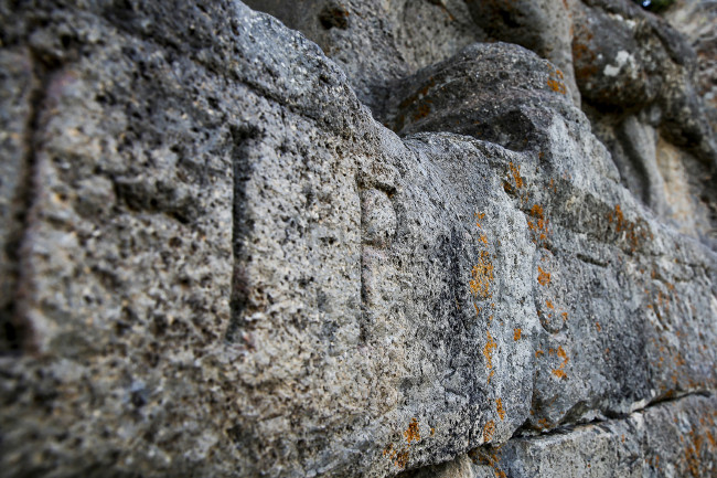 Bin yıllık kitabede At yarışı kuralları 3