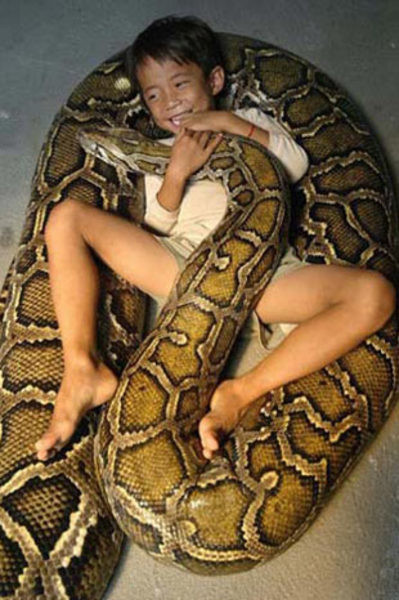 Çok az bilinen tuhaf gerçekler 21