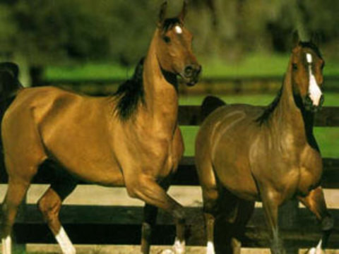 Çok az bilinen tuhaf gerçekler 25