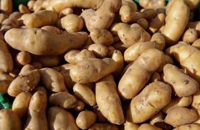 Çok az bilinen tuhaf gerçekler 5