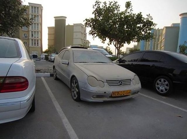 Terk edilmiş arabalar şehri 24