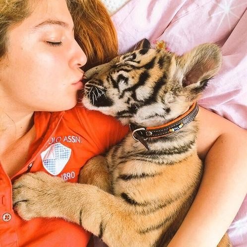 Instagram'ın zengin Türkleri 13