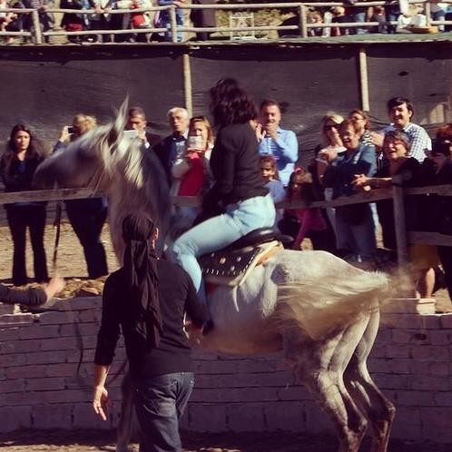 Instagram'ın zengin Türkleri 20