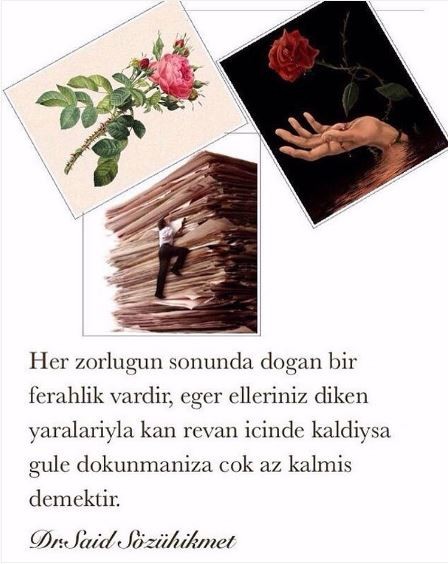 Instagram'da ünlüler 6 Mayıs 2016 11