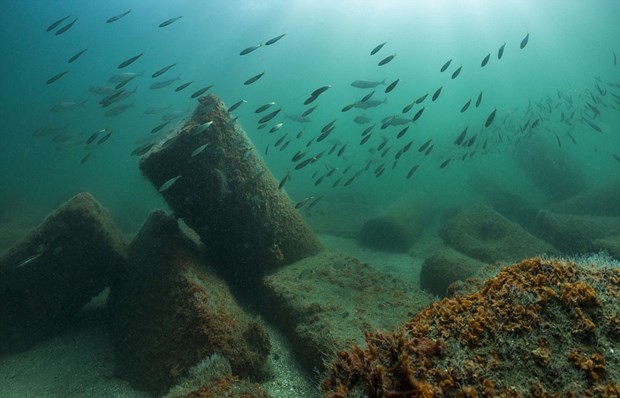 Mısır'ın Atlantis'i gün yüzüne çıktı! 13