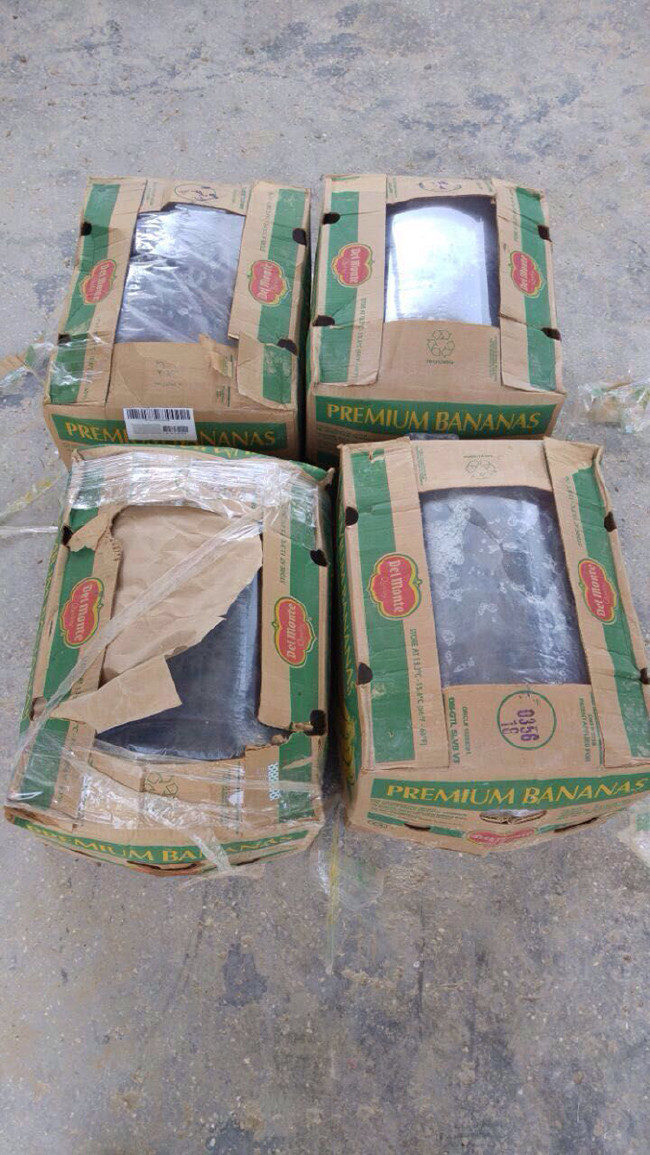 Bu da oldu: Zeytinyağı boru hattı 26