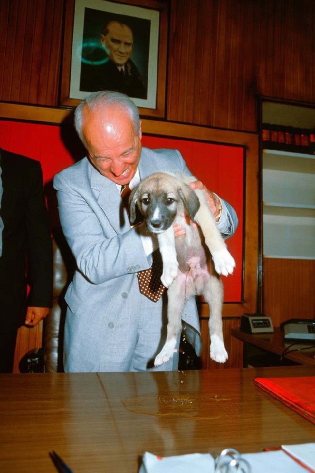 Bir zamanlar Türkiye... 12