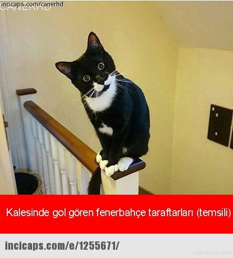 Medipol Başakşehir - Fenerbahçe maçı capsleri 17