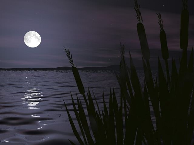 Birbirinden ilginç zeka soruları 5