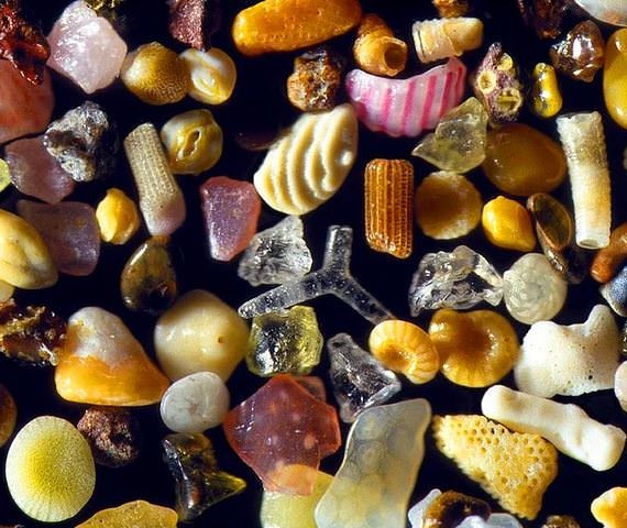 Bu bilgilerin gerçek olduğuna inanamayacaksınız! 13