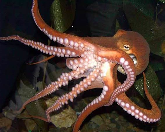 Bu bilgilerin gerçek olduğuna inanamayacaksınız! 22