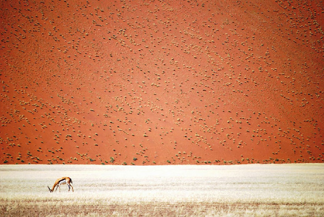 İşte 2016'nın en iyi gezi fotoğrafları 5