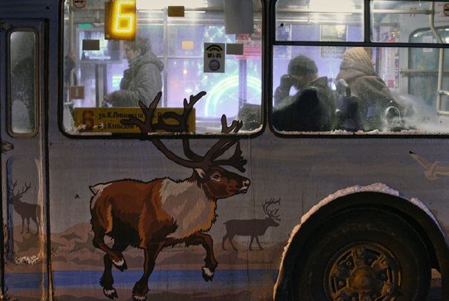 40 günlük geceden sonra güneş doğacak 24