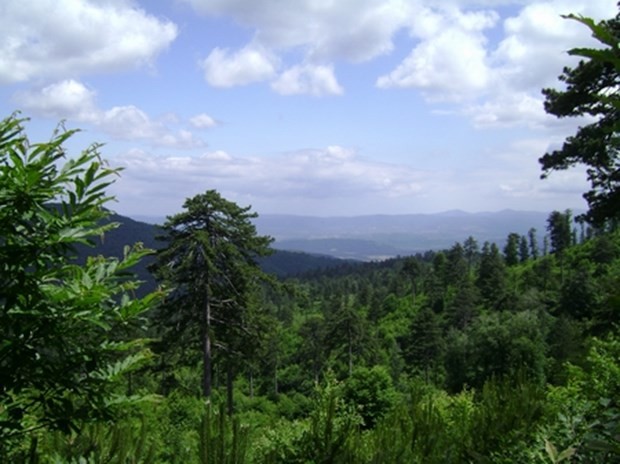 Türkiye'de görülmesi gereken 50 yer 48