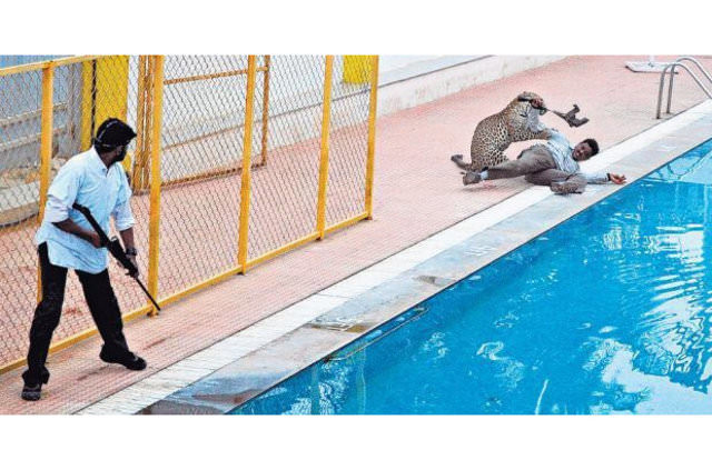 Hayvanların insanlara saldırdığı anlar 10