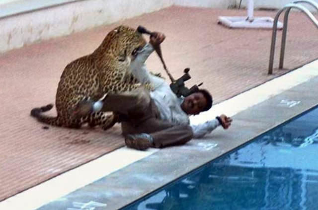 Hayvanların insanlara saldırdığı anlar 36