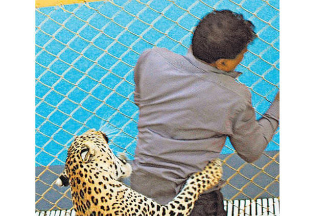 Hayvanların insanlara saldırdığı anlar 13